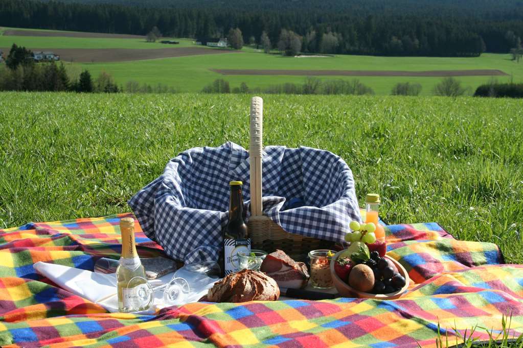 Falkensteiner Hotel Bad Leonfelden Superior (Adults Only) Bekvemmeligheder billede